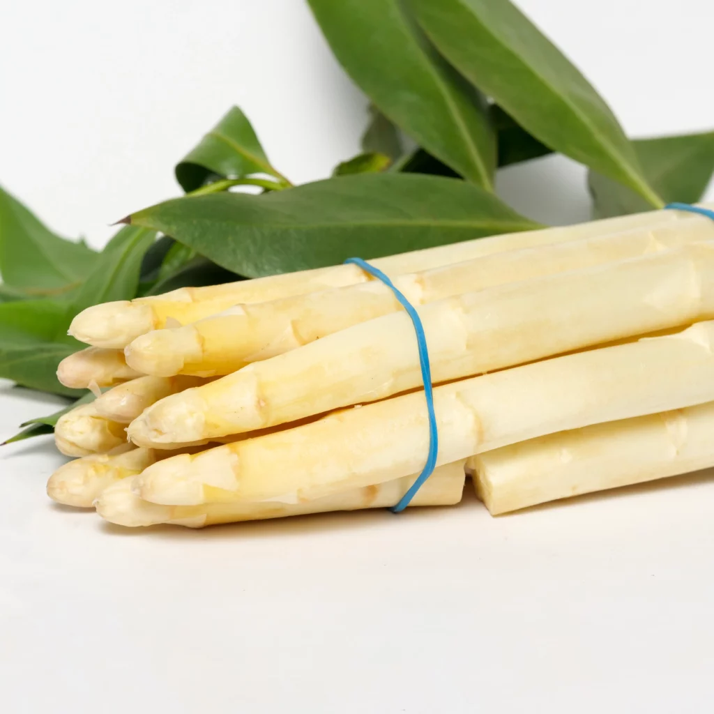 élastique agricole Maroc fixation bottes légumes contact alimentaire